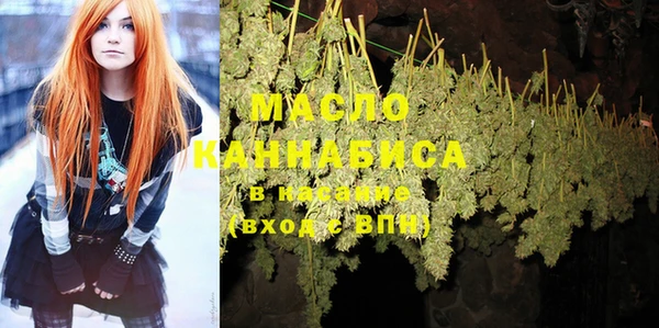 молекула духа Дмитриев