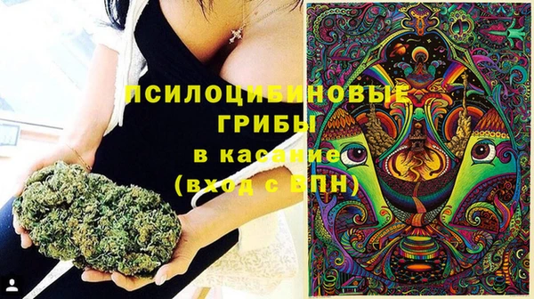 spice Дмитровск