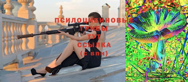 spice Дмитровск