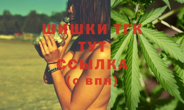 молекула духа Дмитриев
