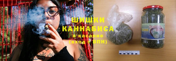 молекула духа Дмитриев