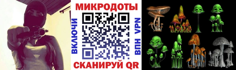закладка Отрадный Галлюциногенные грибы Psilocybe